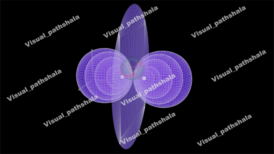 Visual Field Digram - Visualpathshala