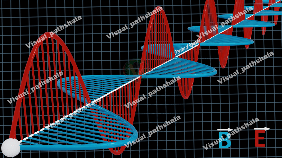 Visual Field Digram - Visualpathshala