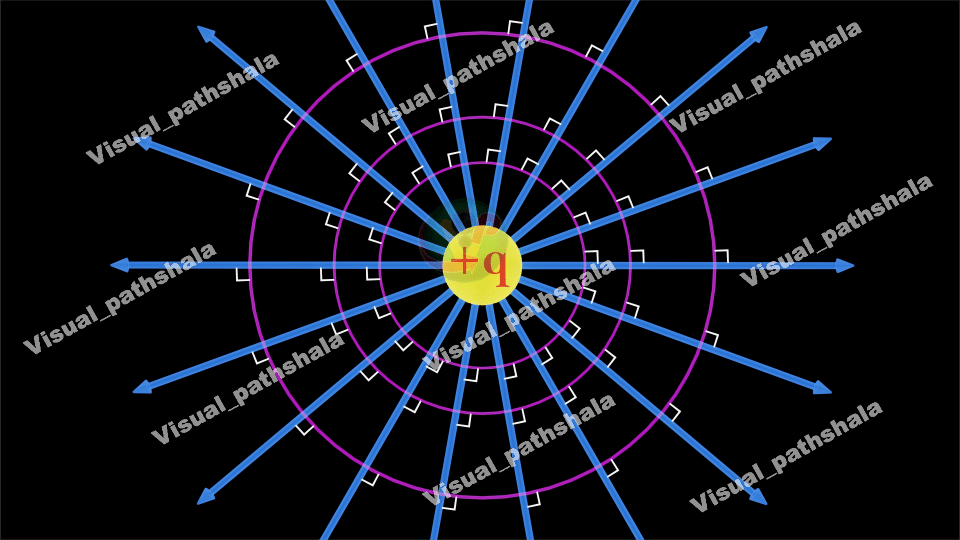Visual Field Digram - Visualpathshala