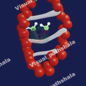 Denaturation of Protein Basic Animation Full HD Video