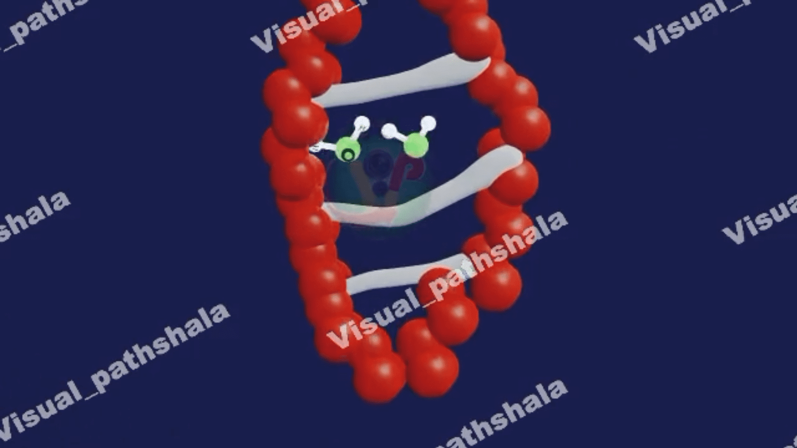 Denaturation of Protein Basic Animation Full HD Video